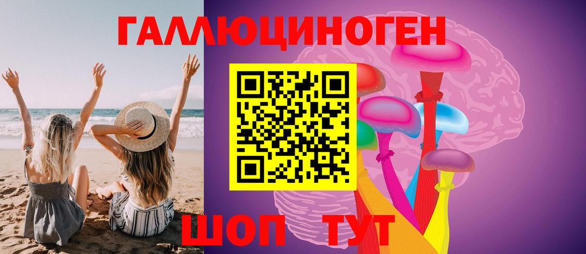 цены наркотик  Галлюциногенные грибы GOLDEN TEACHER  Псилоцибиновые грибы GOLDEN TEACHER  Вход с VPN  Красноярск 